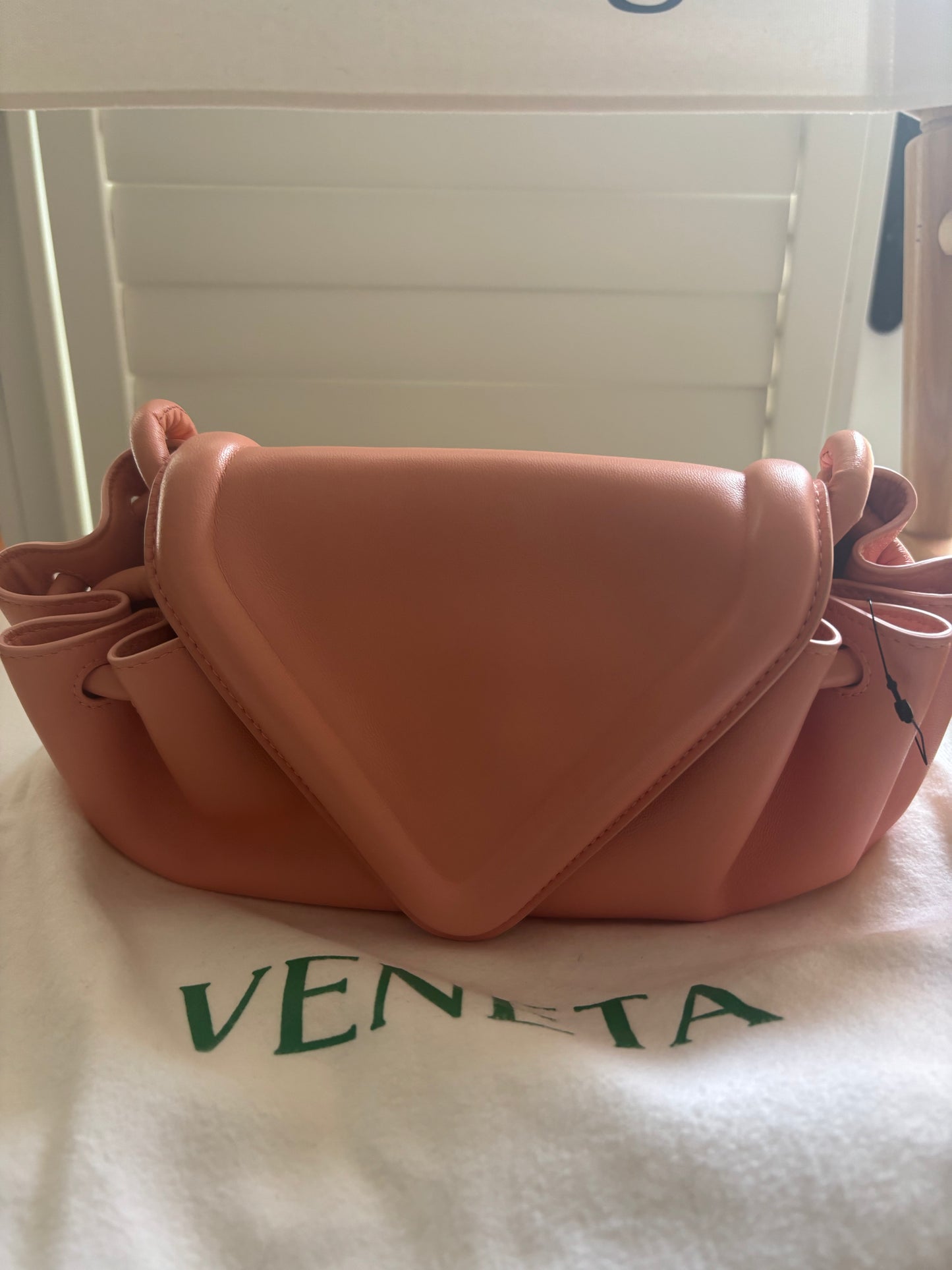 Bottega Veneta Small Beak Crossbody in Teak Calfskin