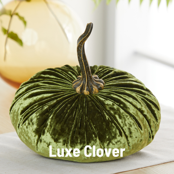 Velvet Pumpkin | Fall Accent & Thoughtful Gift - XL