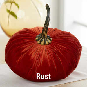 Velvet Pumpkin | Fall Accent & Thoughtful Gift - XL