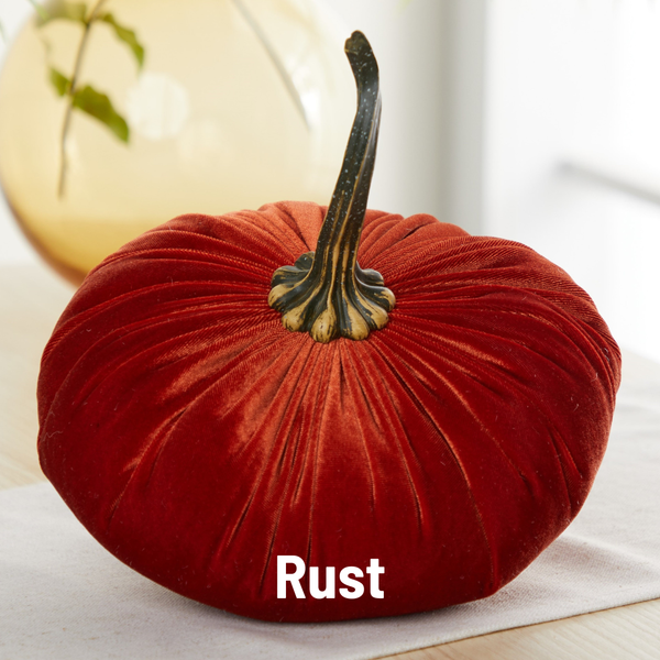 Velvet Pumpkin | Fall Accent & Thoughtful Gift - XL