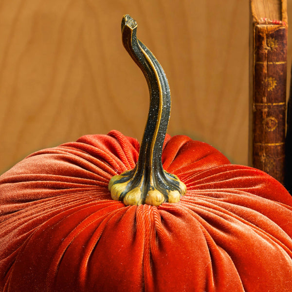 Velvet Pumpkin | Fall Accent & Thoughtful Gift - XL