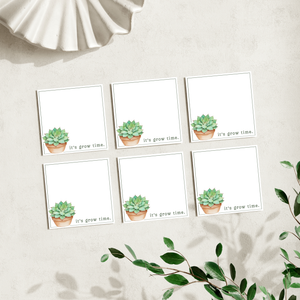 Succulent Plant Lovers: 50 Sheet Post-It Note Notepad