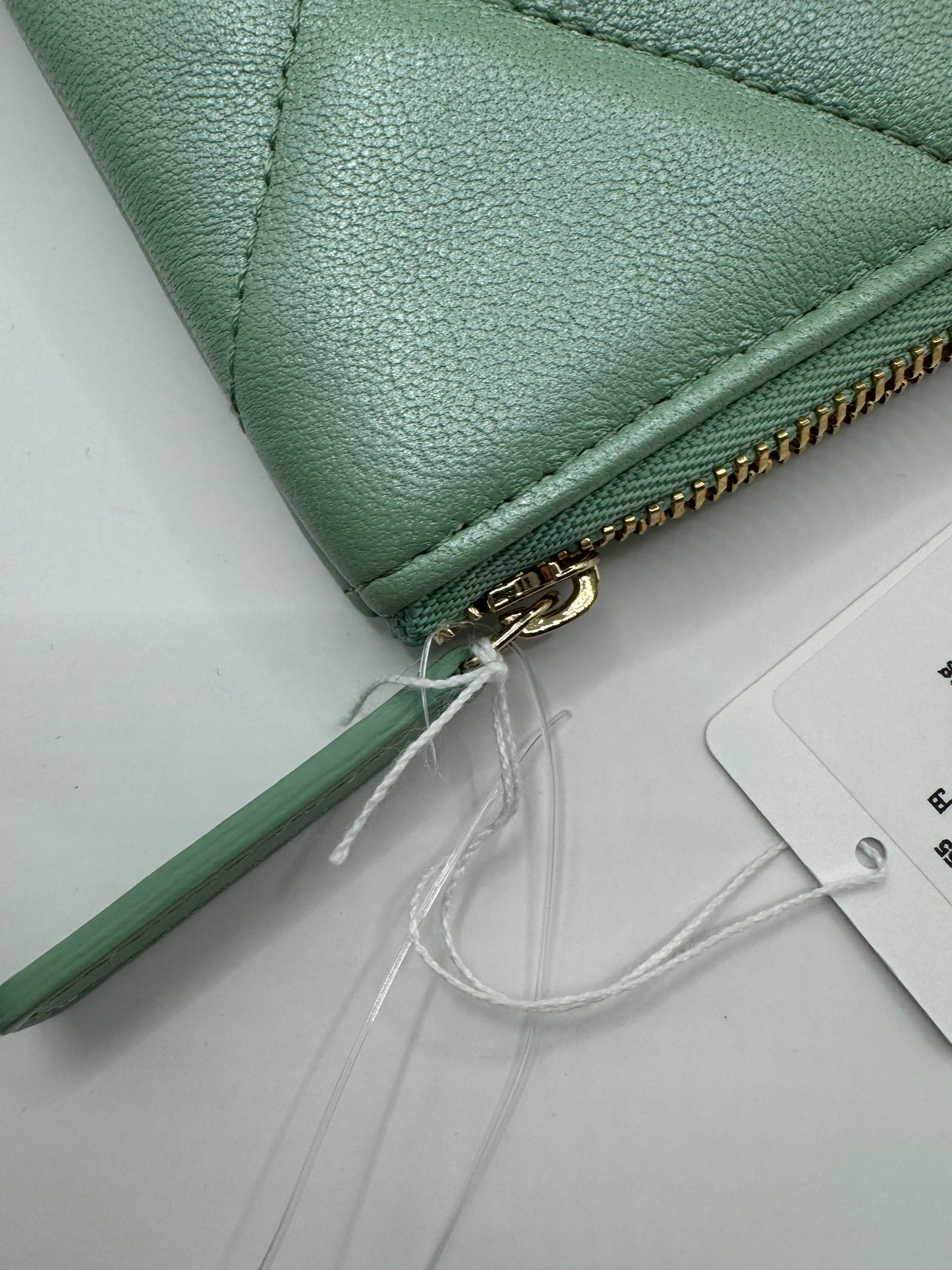 Chanel 19 Mint Pearl Envelope Pouch