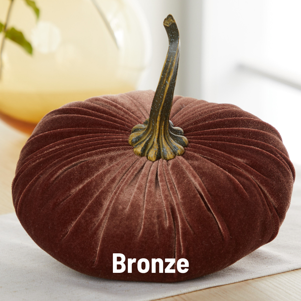 Velvet Pumpkin | Fall Accent & Thoughtful Gift - XL