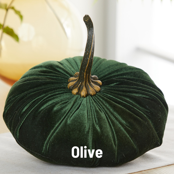 Velvet Pumpkin | Fall Accent & Thoughtful Gift - XL