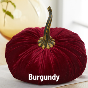 Velvet Pumpkin | Fall Accent & Thoughtful Gift - XL