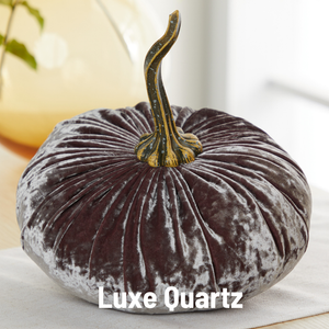 Velvet Pumpkin | Fall Accent & Thoughtful Gift - XL