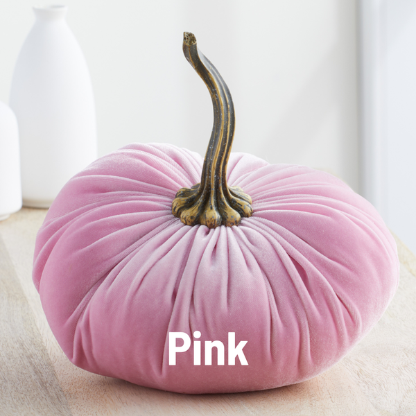 Velvet Pumpkin | Fall Accent & Thoughtful Gift - XL