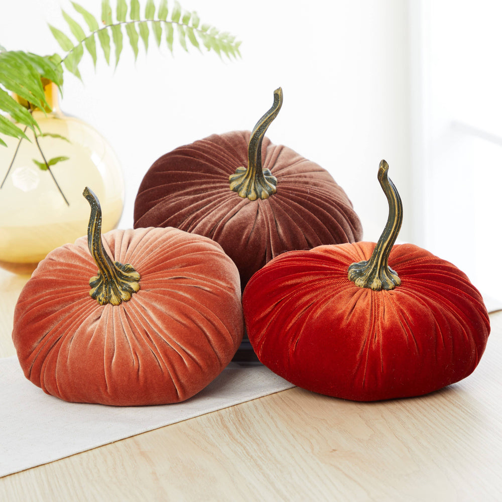 Velvet Pumpkin | Fall Accent & Thoughtful Gift - XL