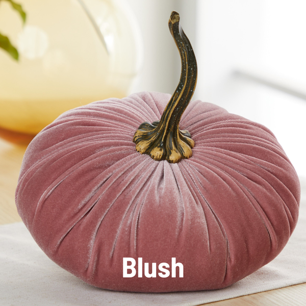 Velvet Pumpkin | Fall Accent & Thoughtful Gift - XL