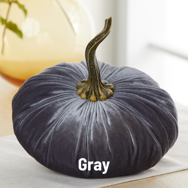 Velvet Pumpkin | Fall Accent & Thoughtful Gift - XL