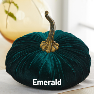 Velvet Pumpkin | Fall Accent & Thoughtful Gift - XL