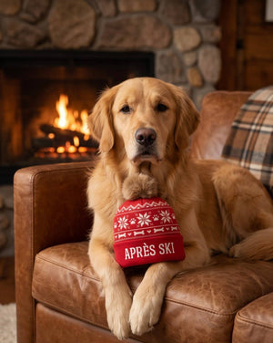 Apres Ski Pom Pom Hat  | Squeaker Dog Toy