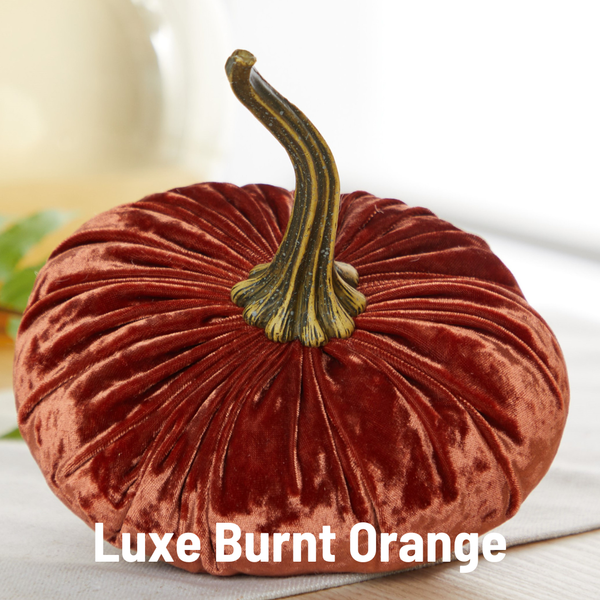 Velvet Pumpkins | Fall Mantel Décor & Thoughtful Gift - Large