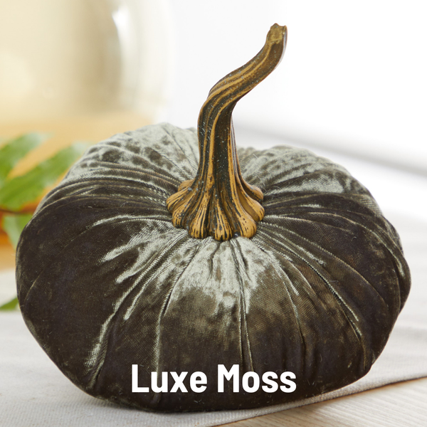 Velvet Pumpkins | Fall Mantel Décor & Thoughtful Gift - Large