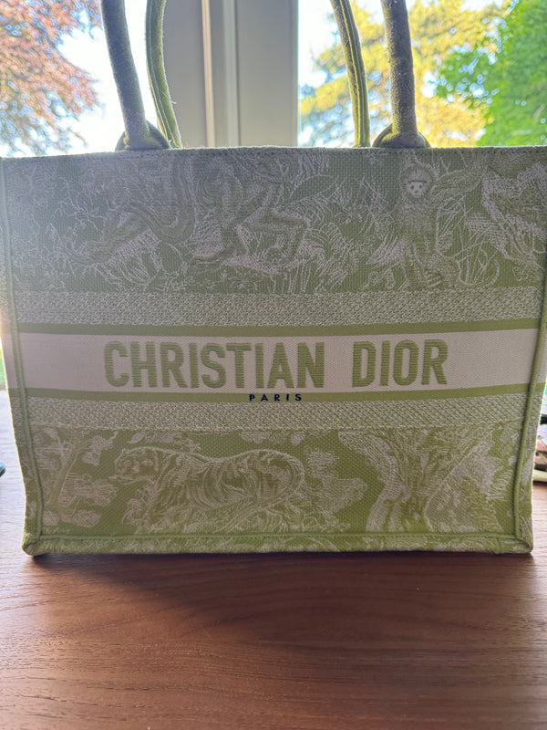 Christian Dior Toile Medium Book Tote Pale Green