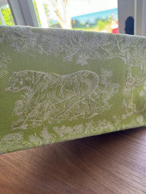 Christian Dior Toile Medium Book Tote Pale Green