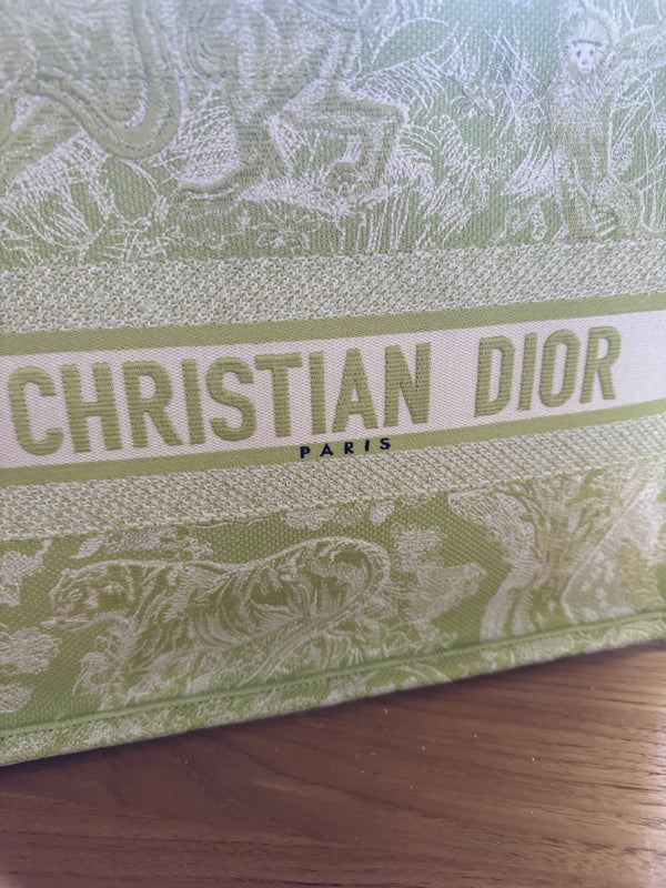 Christian Dior Toile Medium Book Tote Pale Green