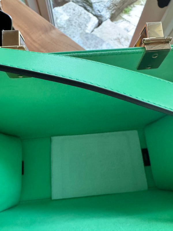 Fendi Sunshine Tote with tortoise acrylic handles. Limited edition green monogram