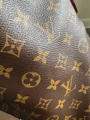 Louis Vuitton Delightful MM Hobo Bag