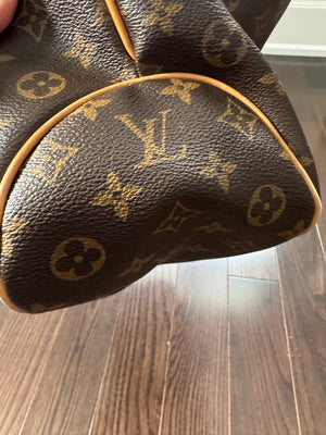 Louis Vuitton Delightful MM Hobo Bag