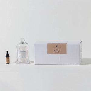 Snow Whisper Gemstone Diffuser [lemon/jasmine]