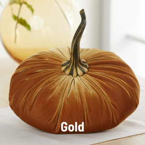 Velvet Pumpkin | Fall Accent & Thoughtful Gift - XL
