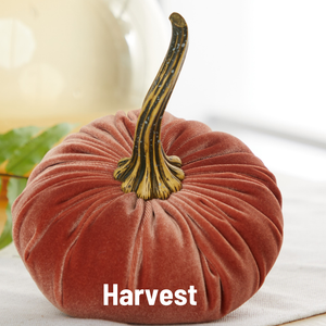 Velvet Pumpkins | Fall Mantel Décor & Thoughtful Gift - Large