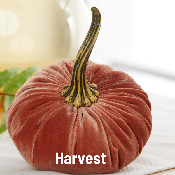 Velvet Pumpkins | Fall Mantel Décor & Thoughtful Gift - Large
