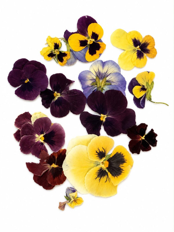 Edible Flower Confetti | 25 g