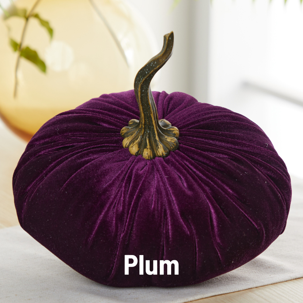 Velvet Pumpkin | Fall Accent & Thoughtful Gift - XL