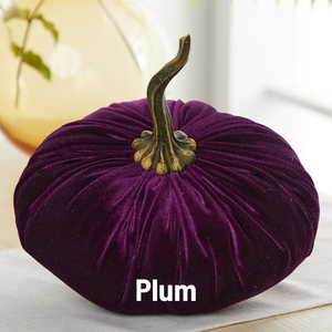 Velvet Pumpkin | Fall Accent & Thoughtful Gift - XL