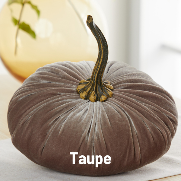 Velvet Pumpkin | Fall Accent & Thoughtful Gift - XL