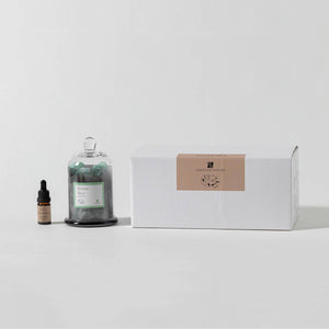 Sleeping Oasis Gemstone Diffuser [apple/amber]