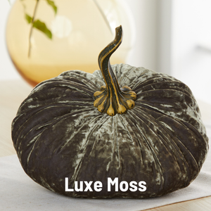 Velvet Pumpkin | Fall Accent & Thoughtful Gift - XL