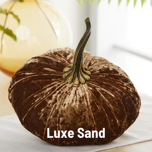 Velvet Pumpkin | Fall Accent & Thoughtful Gift - XL