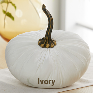 Velvet Pumpkin | Fall Accent & Thoughtful Gift - XL