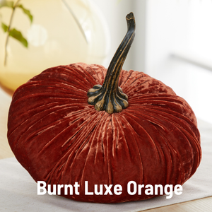 Velvet Pumpkin | Fall Accent & Thoughtful Gift - XL