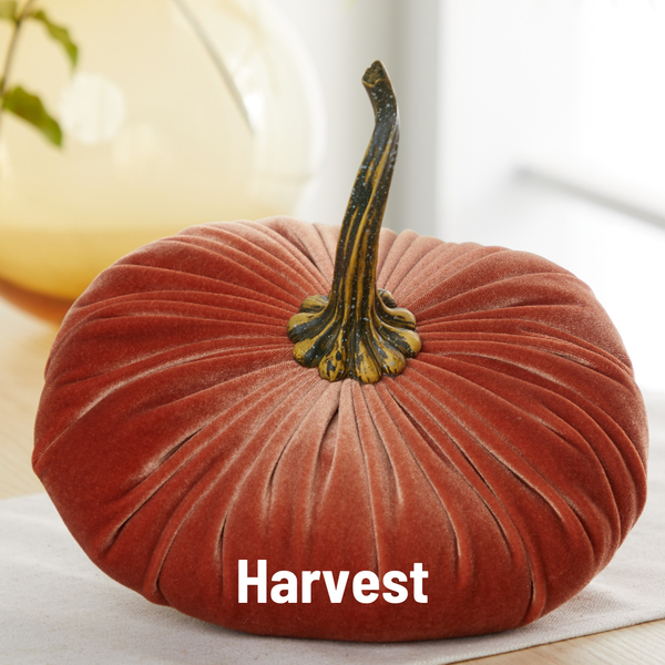 Velvet Pumpkin | Fall Accent & Thoughtful Gift - XL