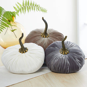 Velvet Pumpkin | Fall Accent & Thoughtful Gift - XL