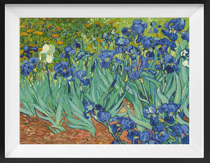 Irises, by Vincent van Gogh - 2026 Decor Paint by Numbers