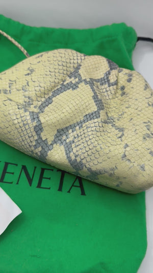 Bottega Venetta Python Print Crossbody Pouch