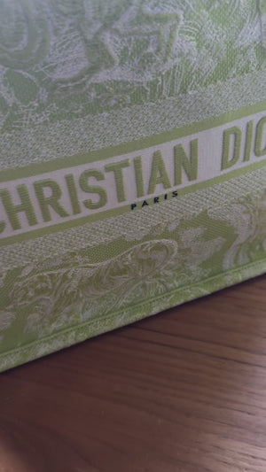 Christian Dior Toile Medium Book Tote Pale Green